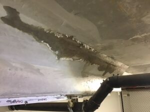 Water leak in Apartment block - Apartment Building Inspecton