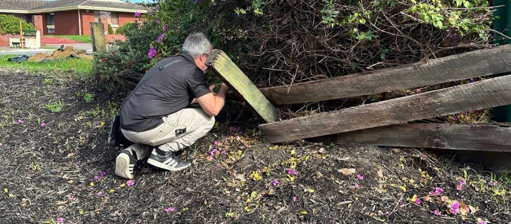 Inspector investigating wooden planter bed in a garden. A part of Navigating your Termite Management Systems