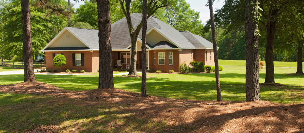 Family Home on a large piece of land with trees