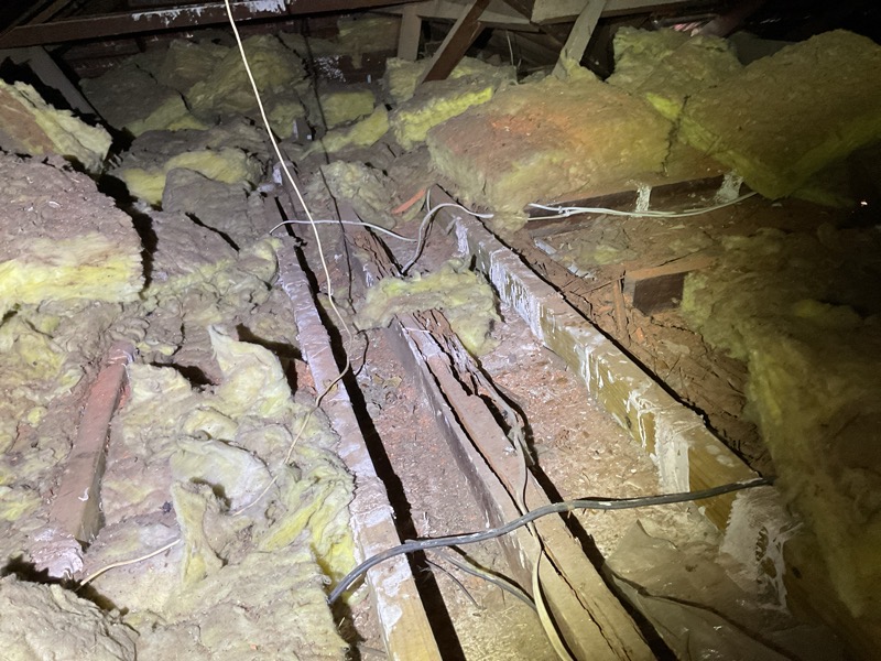 Damaged roof cavity showing disturbed insulation and significant termite activity on timber framing, with visible mud trails and wiring present – example from a building inspection in Western Australia